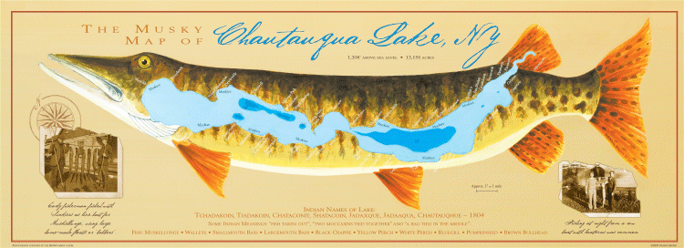 CLICK FOR LARGER IMAGE!