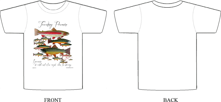 CLICK FOR LARGER IMAGE!